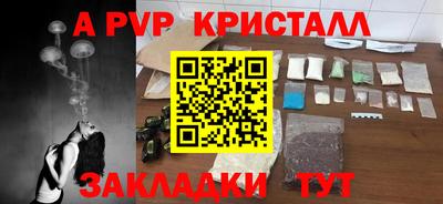 амф Камышлов