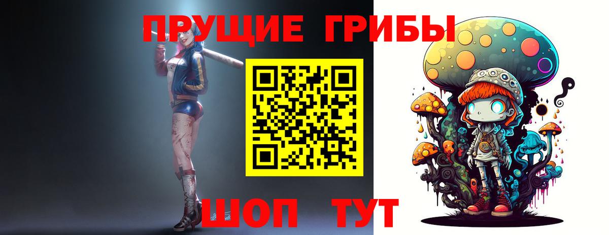 Галлюциногенные грибы Psilocybe  Вход с VPN  Чебаркуль 