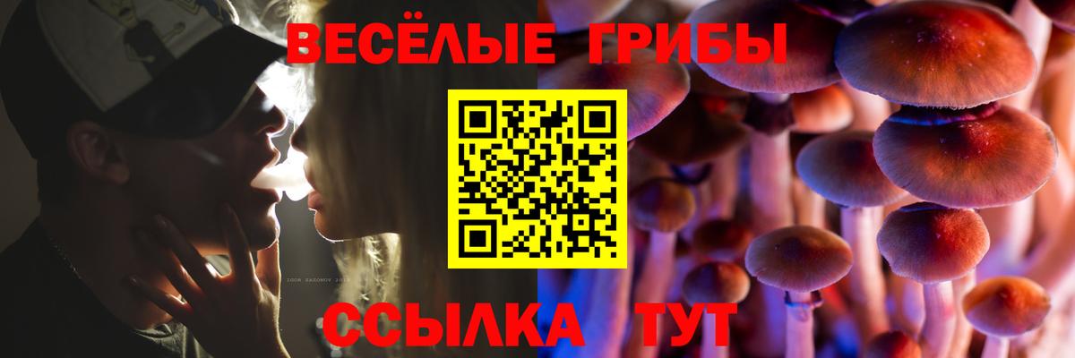 Галлюциногенные грибы мухоморы Чебаркуль