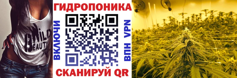 это какой сайт  Чебаркуль  Марихуана ГИДРОПОН 